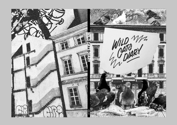 wildcats.bigcarte.com